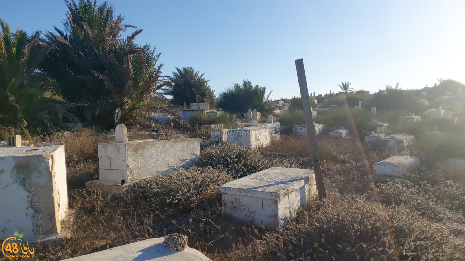 WhatsApp Image 2020-08-17 at 7.30.13 PM (1).jpeg.jpg.jpg